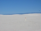 PICTURES/White Sands National Monument/t_White Sands - Trail markers.jpg
